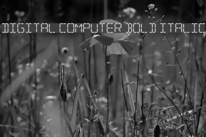 Digital Computer Bold Italic Example 2