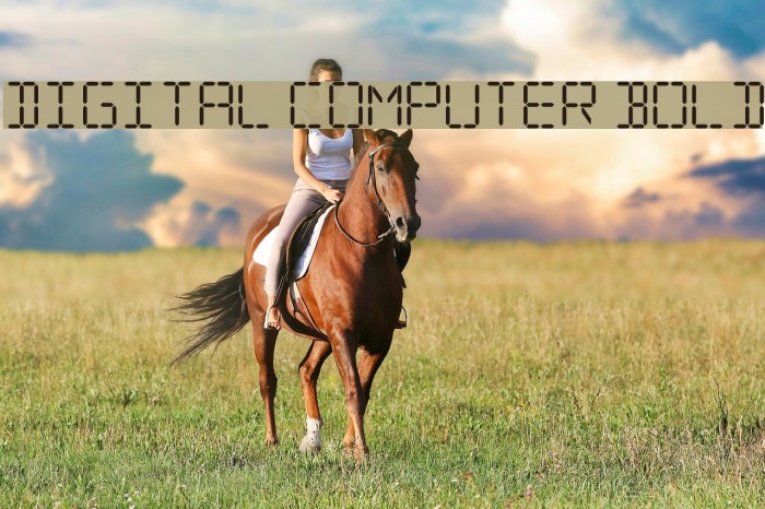 Digital Computer Bold Font examples