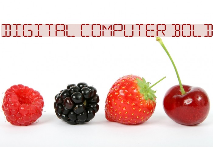 Digital Computer Bold Font examples