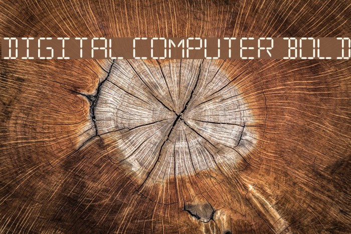 Digital Computer Bold Font examples