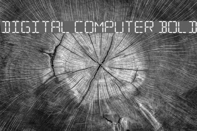 Digital Computer Bold Example 3