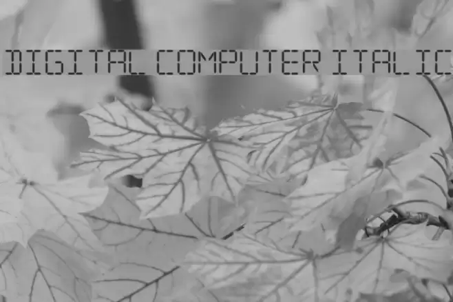 Digital Computer Italic Font examples