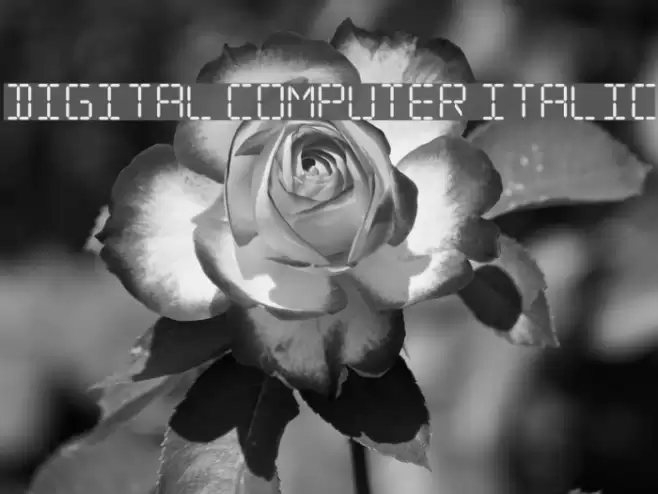 Digital Computer Italic Font examples