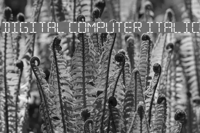 Digital Computer Italic Font examples