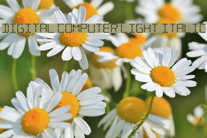 Digital Computer Light Italic Font examples