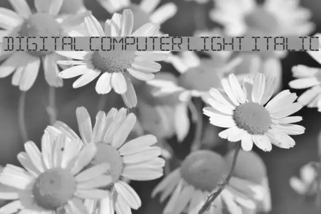 Digital Computer Light Italic Example 3