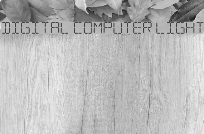Digital Computer Light Example 2
