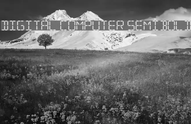Digital Computer Semibold Example 2