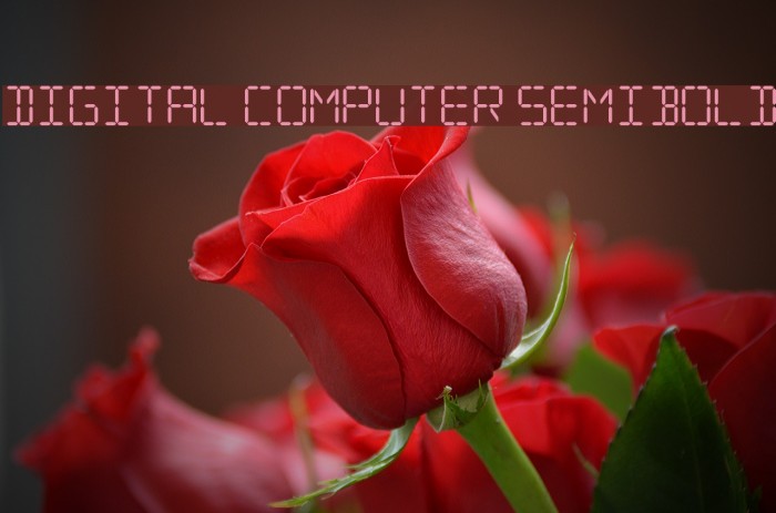 Digital Computer Semibold Font examples