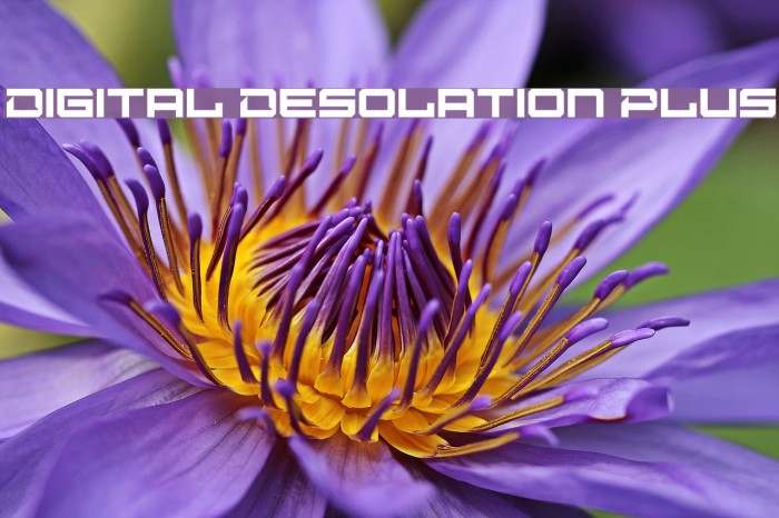 Digital Desolation Plus Font examples