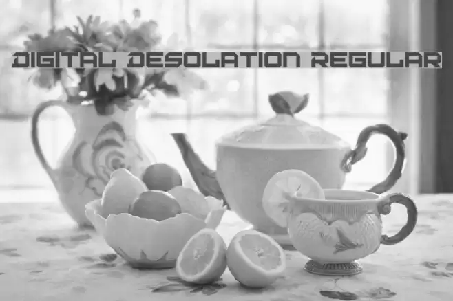 Digital Desolation Regular Font examples