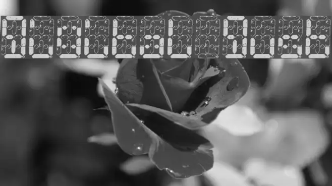 Digital Dust Example 3