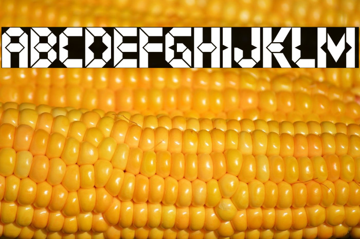 Digital Dystopia Example 1