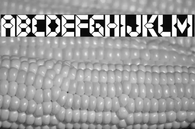 Digital Dystopia Example 1