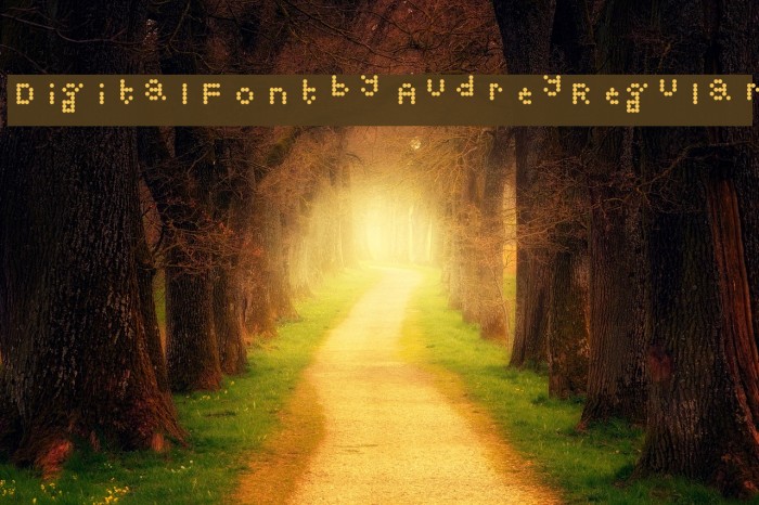 Digital Font by Audrey Regular Font examples