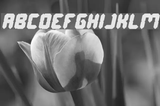 Digital Gothic Bold Italic Font examples