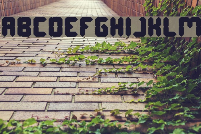 Digital Gothic Bold Font examples