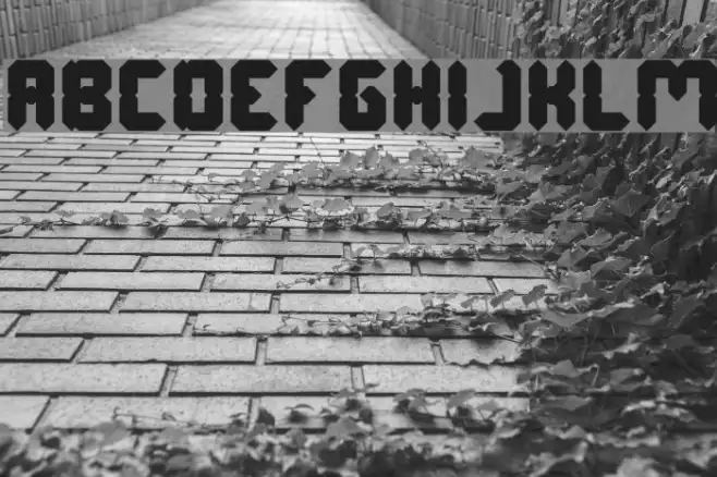 Digital Gothic Bold Example 2