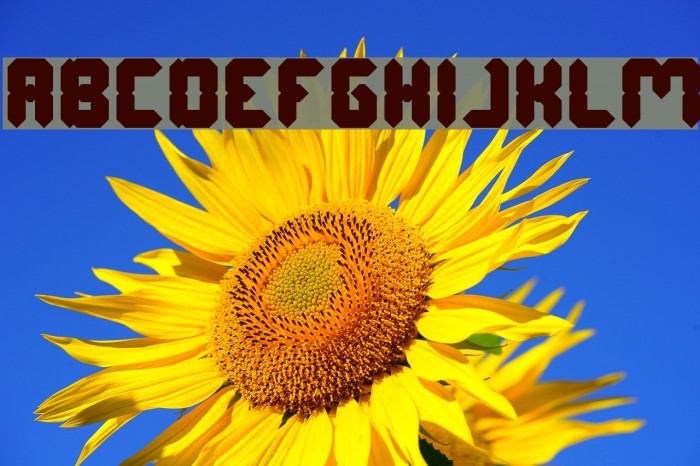 Digital Gothic Bold Font examples