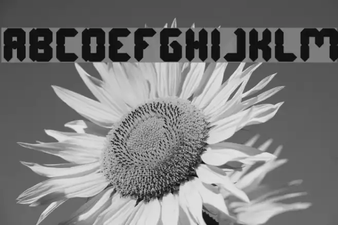 Digital Gothic Bold Example 3