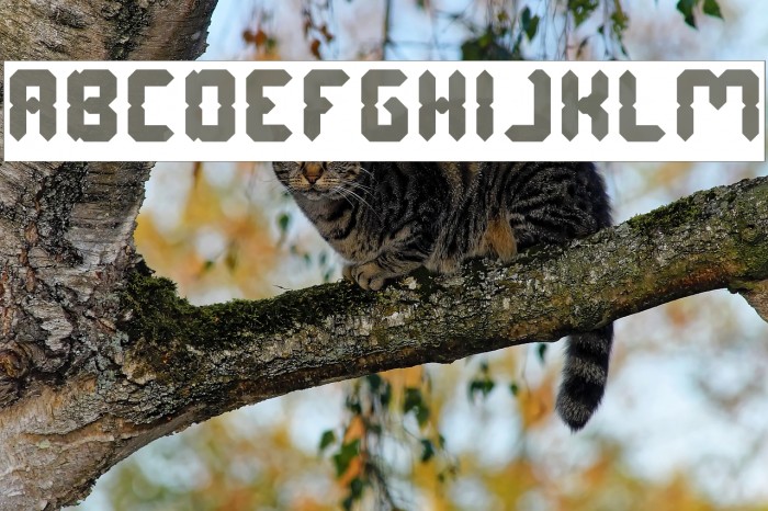 Digital Gothic-Inverse Font examples