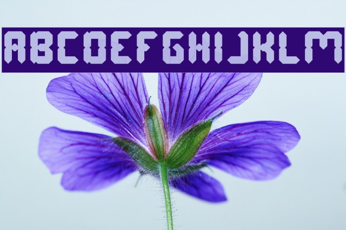 Digital Gothic-Inverse Font examples