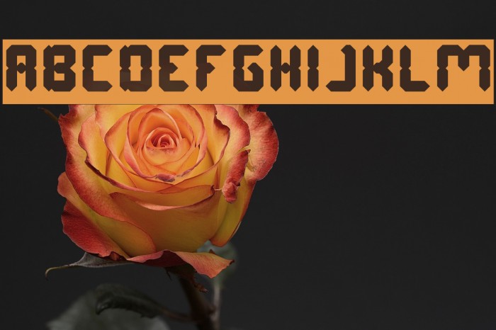 Digital Gothic-Inverse Font examples