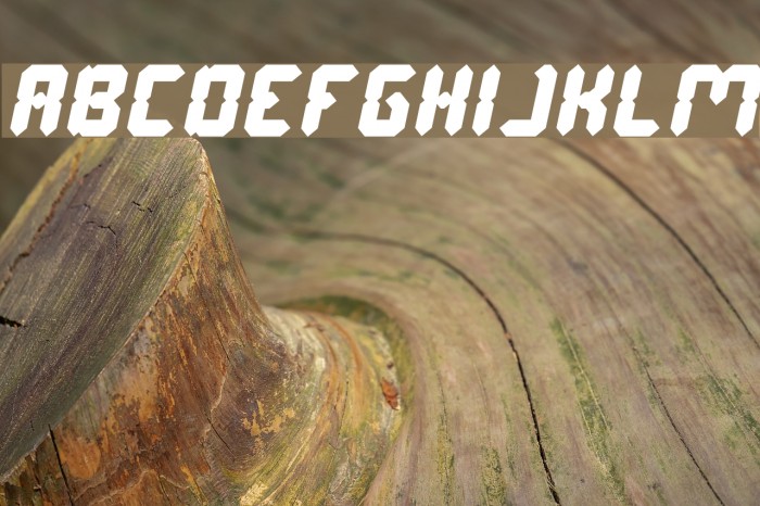Digital Gothic Italic Font examples