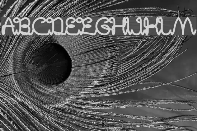 Digital Handmade Bold Font examples