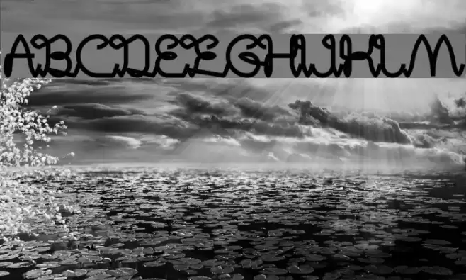 Digital Handmade Bold Font examples