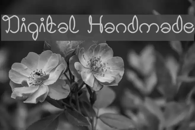Digital Handmade Font examples