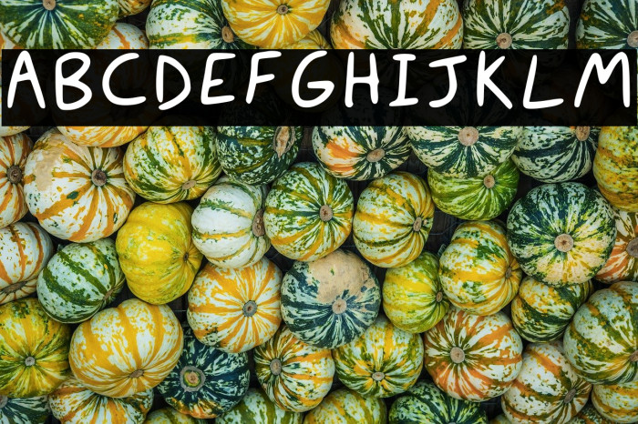 Digital Handwriting Regular Font examples