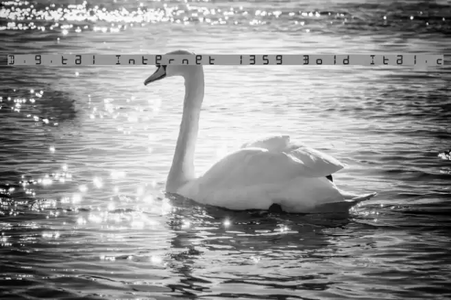 Digital Internet 13sg Bold Italic Font examples