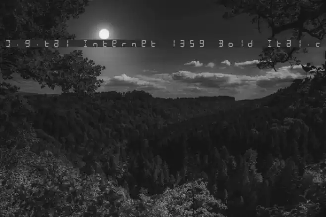 Digital Internet 13sg Bold Italic Font examples