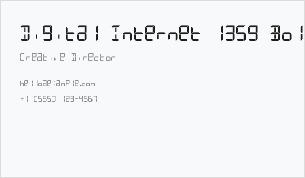 Digital Internet 13sg Bold Italic Business Card