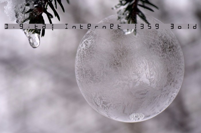 Digital Internet 13sg Bold Fonte examples