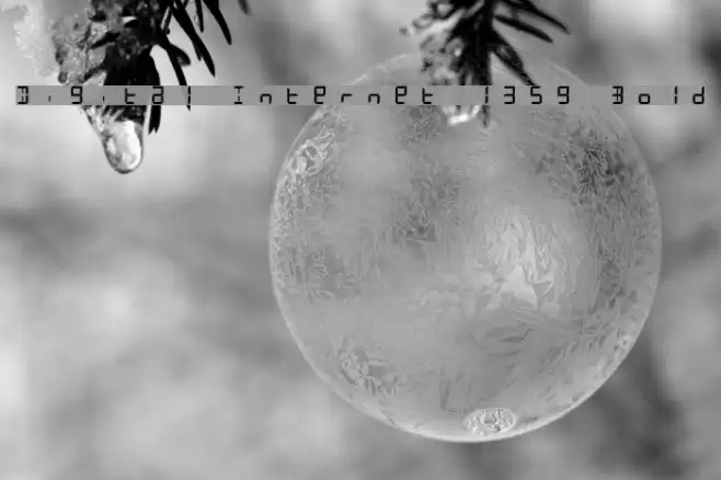 Digital Internet 13sg Bold Font examples