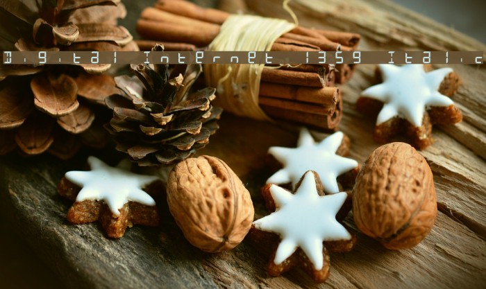 Digital Internet 13sg Italic Example 1