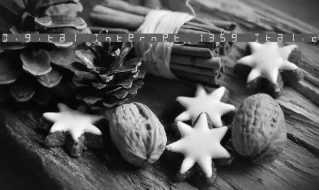 Digital Internet 13sg Italic Font examples