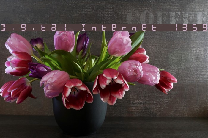 Digital Internet 13sg Font examples