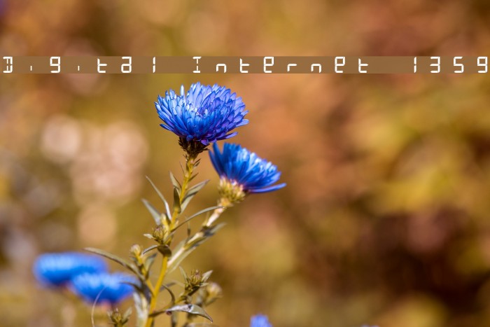 Digital Internet 13sg Font examples