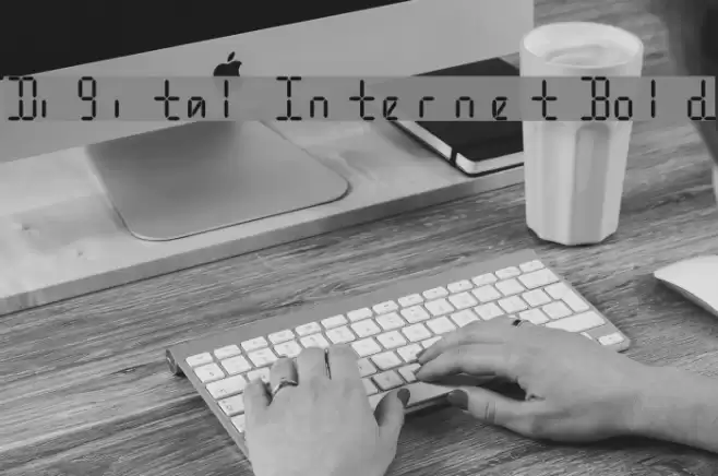 Digital Internet Bold Font examples