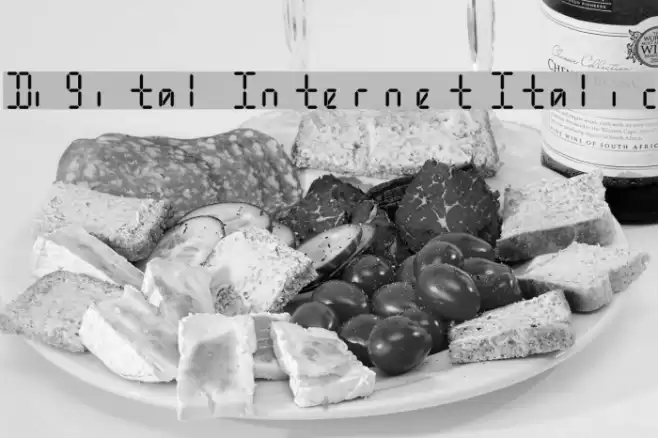 Digital Internet Italic Font examples