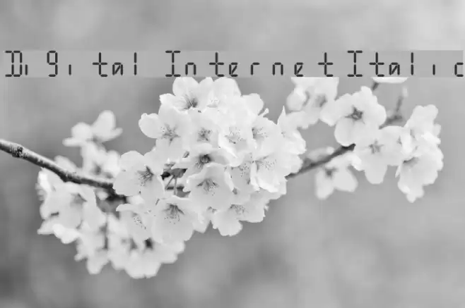 Digital Internet Italic Font examples