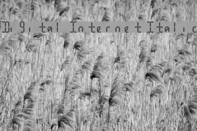 Digital Internet Italic Font examples