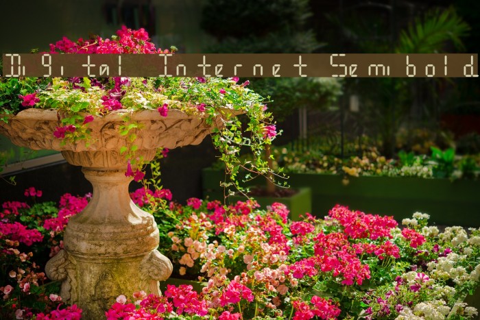 Digital Internet Semibold Example 1