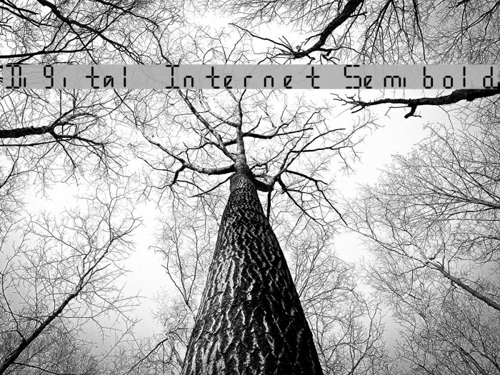 Digital Internet Semibold Example 3