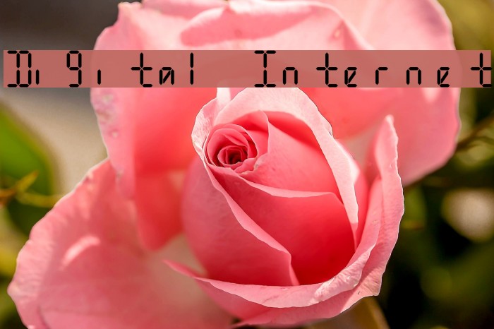 Digital Internet Font examples