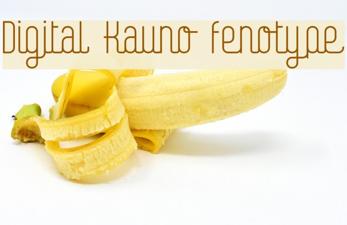 Digital Kauno fenotype Font examples