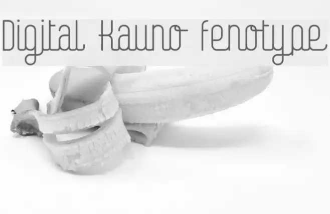 Digital Kauno fenotype フォント examples